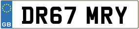 Trailer License Plate